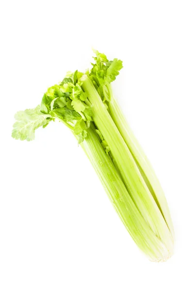 Green celery isolated — Stock Photo, Image