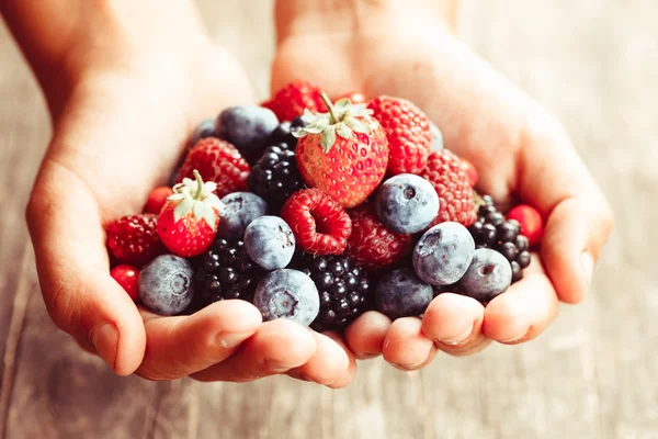 Beeren in Händen — Stockfoto