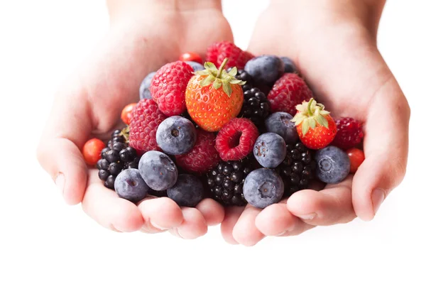 Beeren in Händen — Stockfoto