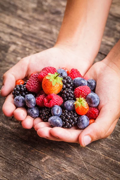 Beeren in Händen — Stockfoto