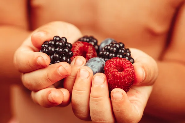 Beeren in Händen — Stockfoto