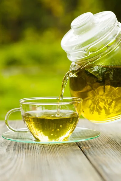 The Herbal tea — Stock Photo, Image