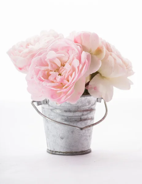 Blooming roses in vase — Stock Photo, Image