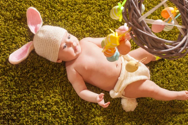 Baby-Osterhase — Stockfoto