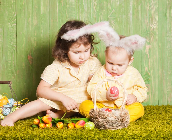 Easter rabbits babies — Stock Photo, Image