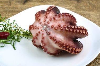 Herb ile haşlanmış ahtapot