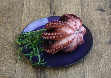 Herb ile haşlanmış ahtapot