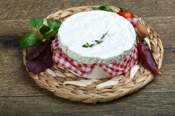 Lezzetli camembert peyniri — Stok fotoğraf