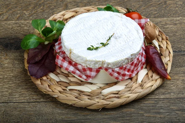 Delicioso queijo camembert — Fotografia de Stock