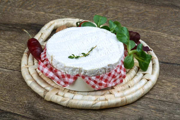 Finom camembert sajt — Stock Fotó