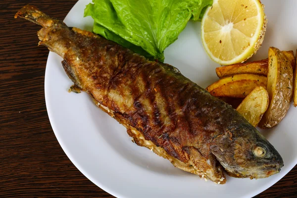 Delicious Grilled trout — Stock Photo, Image