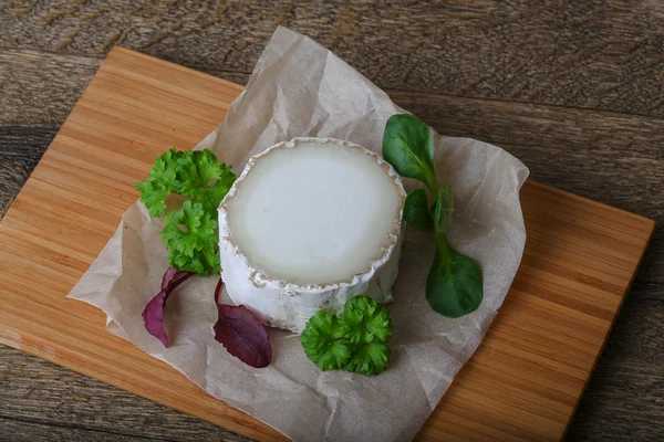 Козий сыр с белой плесенью — стоковое фото