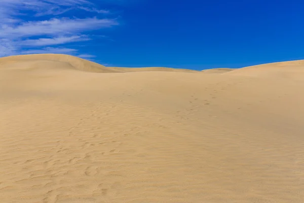 Desert in Canarische eiland — Stockfoto