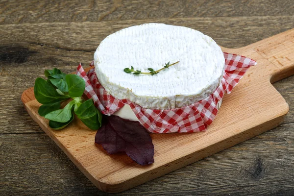 맛 있는 카망베르 치즈 — 스톡 사진