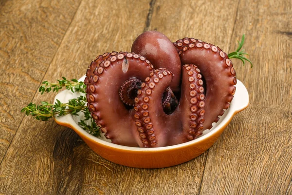 Gekochter Oktopus mit Kraut — Stockfoto