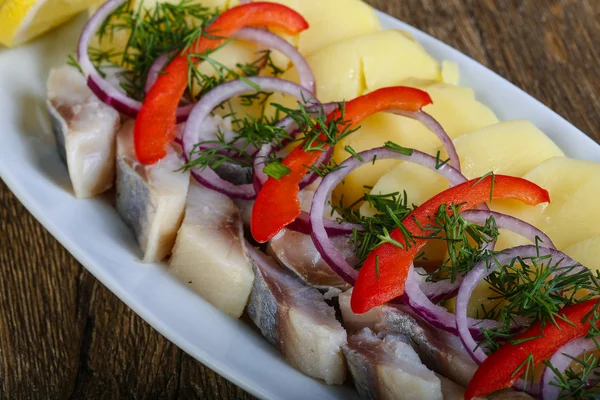 Filete de arenque con patata — Foto de Stock