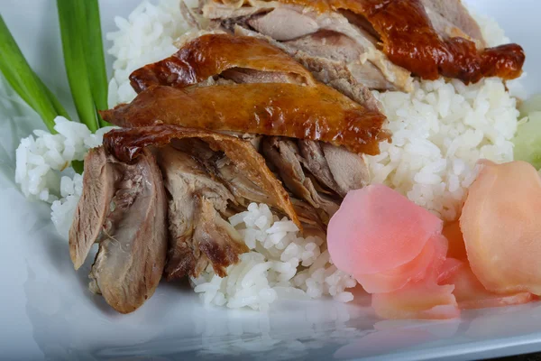 Pato asado con arroz — Foto de Stock