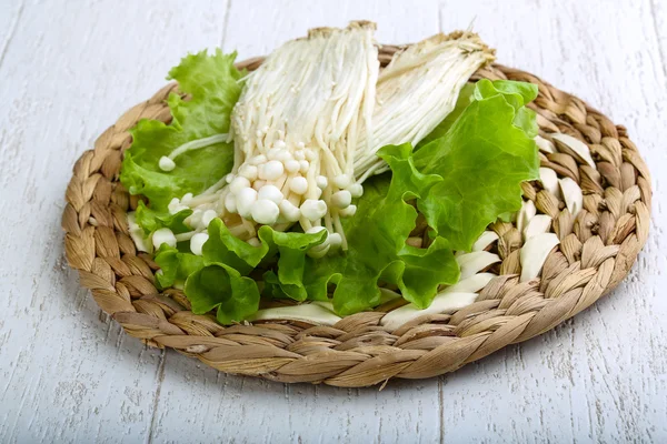 Japanse traditionele Enoki paddenstoel — Stockfoto