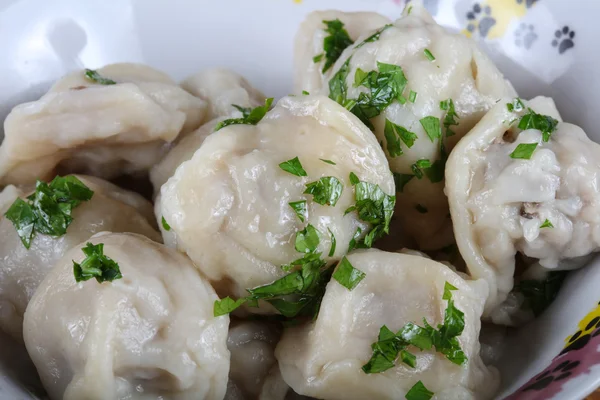 Het ryska dumplings — Stockfoto