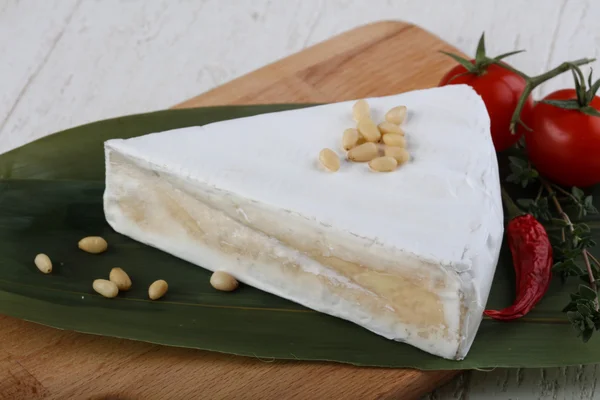 Gustoso triangolo Brie formaggio — Foto Stock