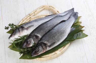 Çiğ deniz kabuğu balığı