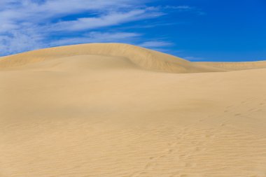 Kanarya Adası'çöl