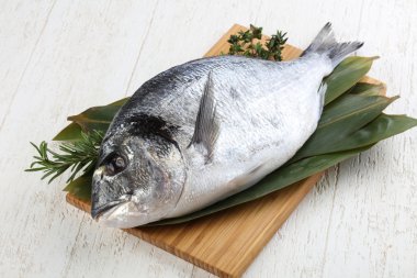 Rosemary ile ham dorado