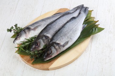 Çiğ deniz kabuğu balığı