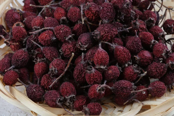 Kuru sağlıklı alıç