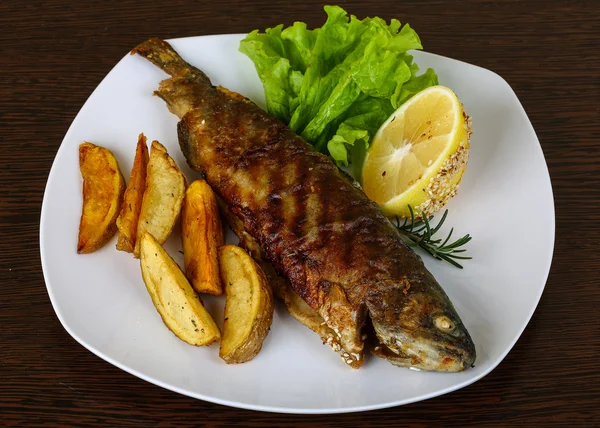 Tasty Grilled trout — Stock Photo, Image