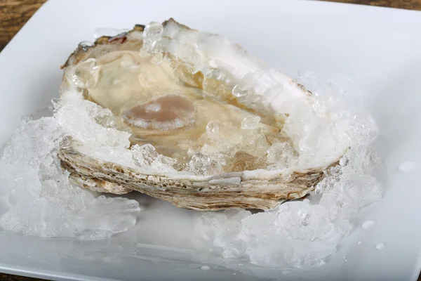 Fresh raw oyster — Stock Photo, Image