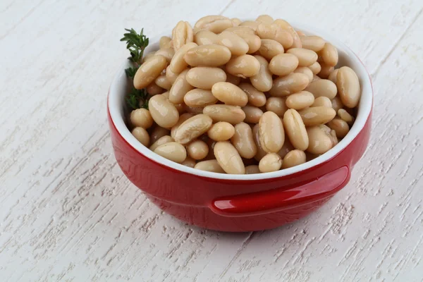 白インゲン豆の缶詰 — ストック写真