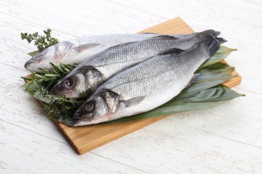 Çiğ deniz kabuğu balığı