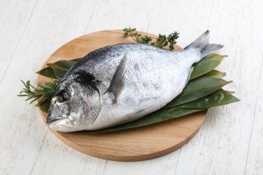 ham dorado balığı