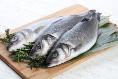 Çiğ deniz kabuğu balığı