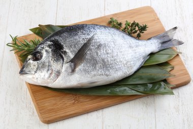 ham dorado balığı