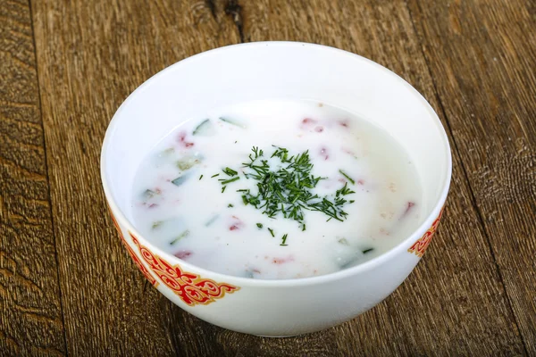 맛 있는 찬 kefir 수프 — 스톡 사진