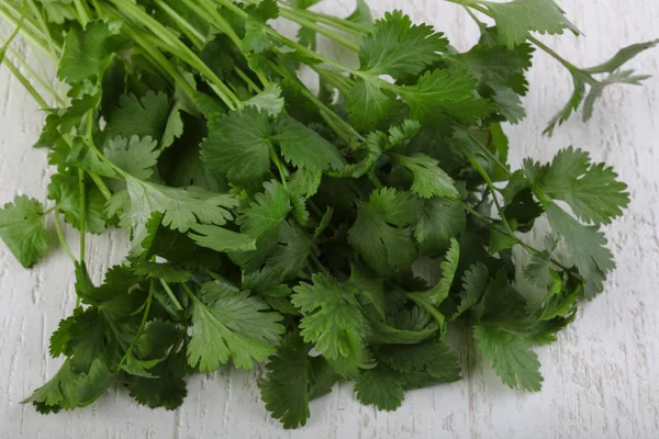 Hojas de cilantro montón — Foto de Stock