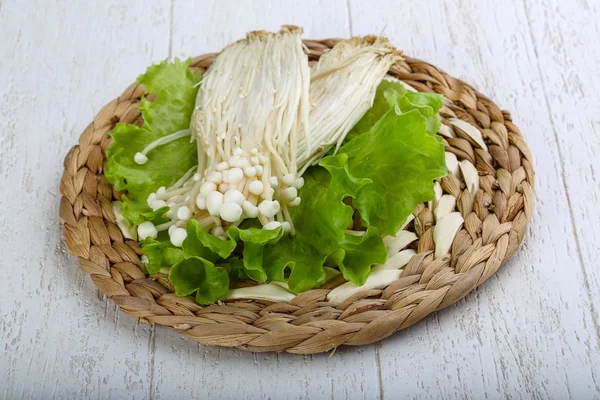 Japanese traditional Enoki mushroom — Stock Photo, Image