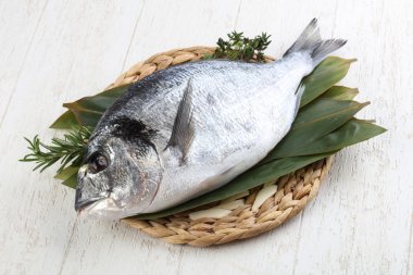 ham dorado balığı