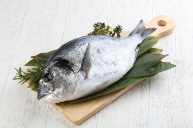 ham dorado balığı