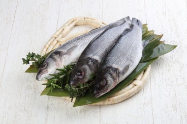 Çiğ deniz kabuğu balığı