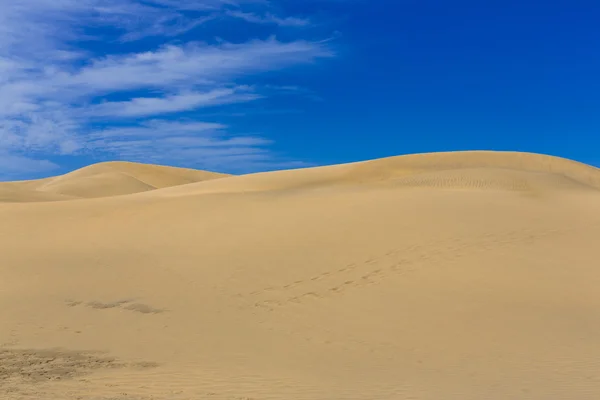 Poušť v Kanárské ostrov Gran Canaria — Stock fotografie