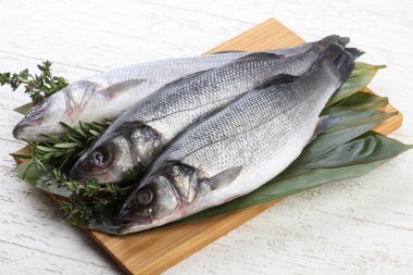 Çiğ deniz kabuğu balığı