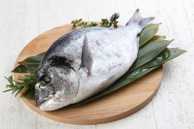 Ham dorado yemek pişirmek için hazır