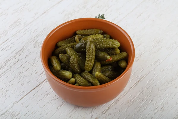 Pepinos pequeños en escabeche —  Fotos de Stock