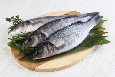 Çiğ deniz kabuğu balığı