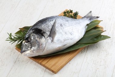 Ham dorado yemek pişirmek için hazır