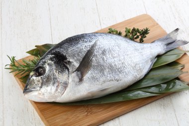 Ham dorado yemek pişirmek için hazır