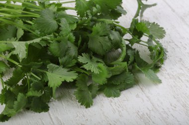 Yeşil kişniş yaprakları